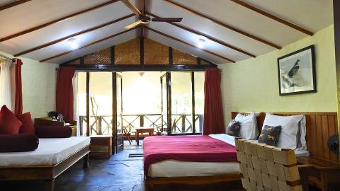  hotel-in-bandhavgarh