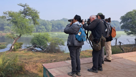 Bharatpur Birding Tours