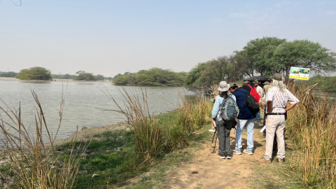  Birding In North India