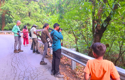 Jungle Lore Birding Lodge Habitat