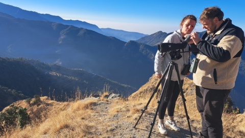  birding in himalayas