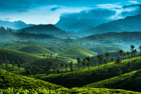 wildlife and cultural tours in valparai